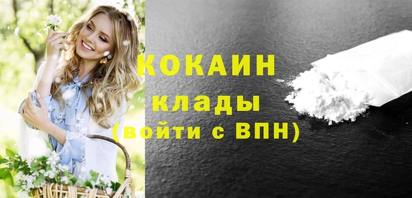 бошки Вязьма