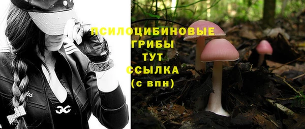 тгк Вяземский