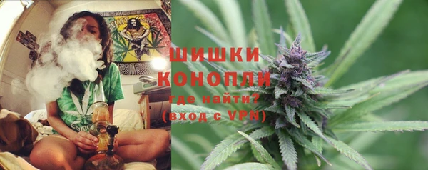 тгк Вяземский