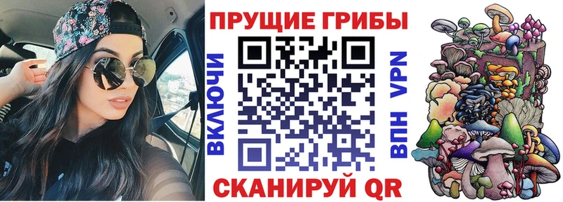 Купить  Нерехта  Псилоцибиновые грибы прущие грибы 